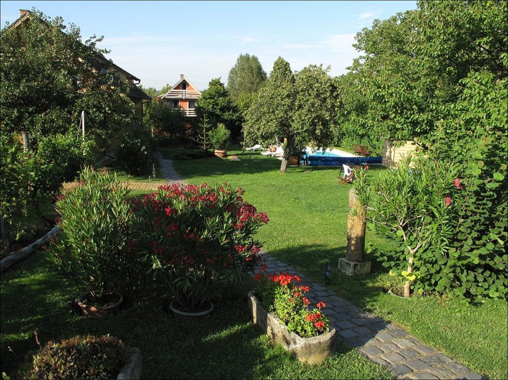 Herold Panzió Dunabogdány Exterior foto